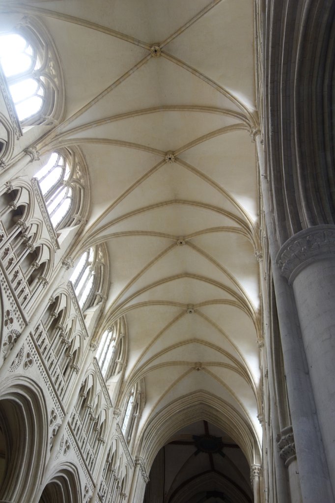 2020-06-21  00101.JPG